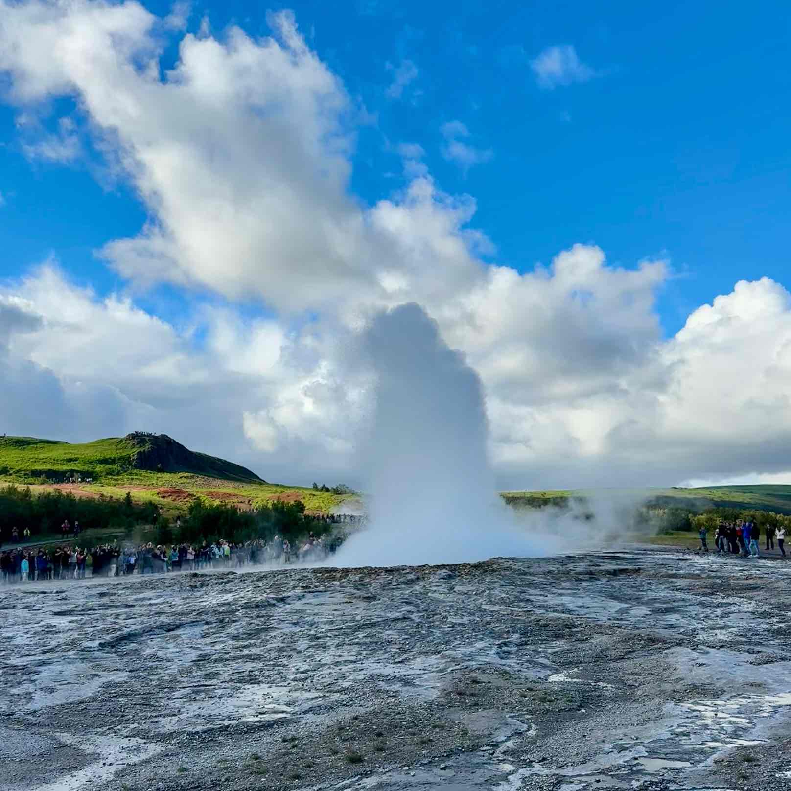 Amici di John Dove 72 logo