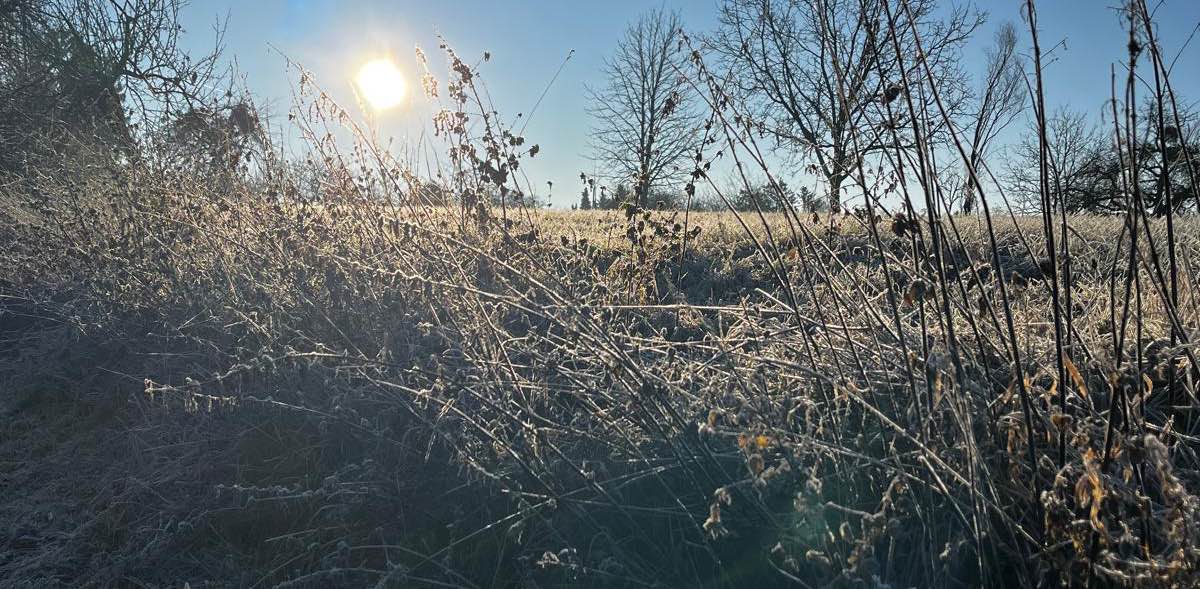 🌼🍀🌺Spaß am Laufen 🐕‍🦺🚶🏼‍♀ banner