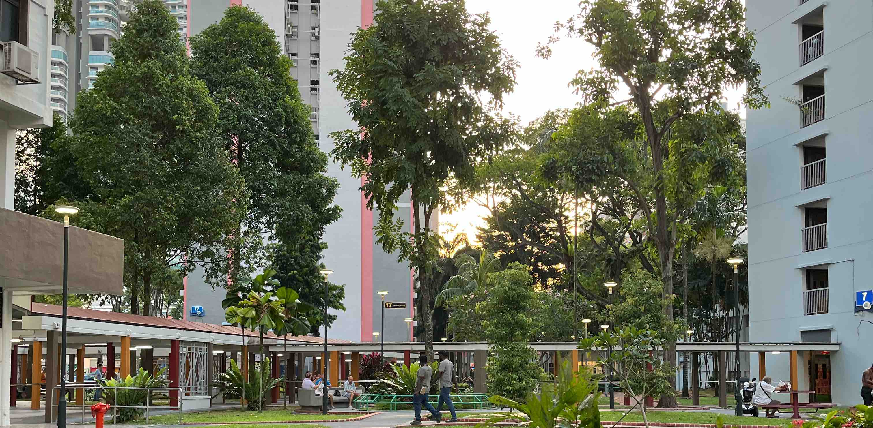 Good healthy safe walk in world banner