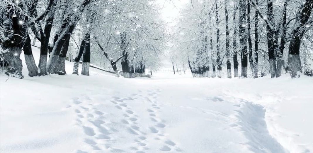 Circle of Grace banner