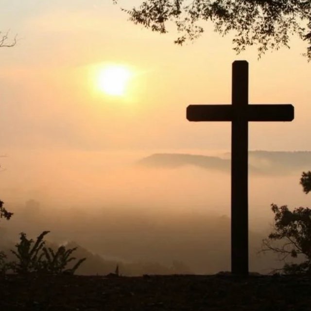 Circle of Grace logo