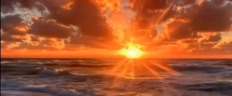 ✨️FUN TIMES WHILE WALKING✨️ banner