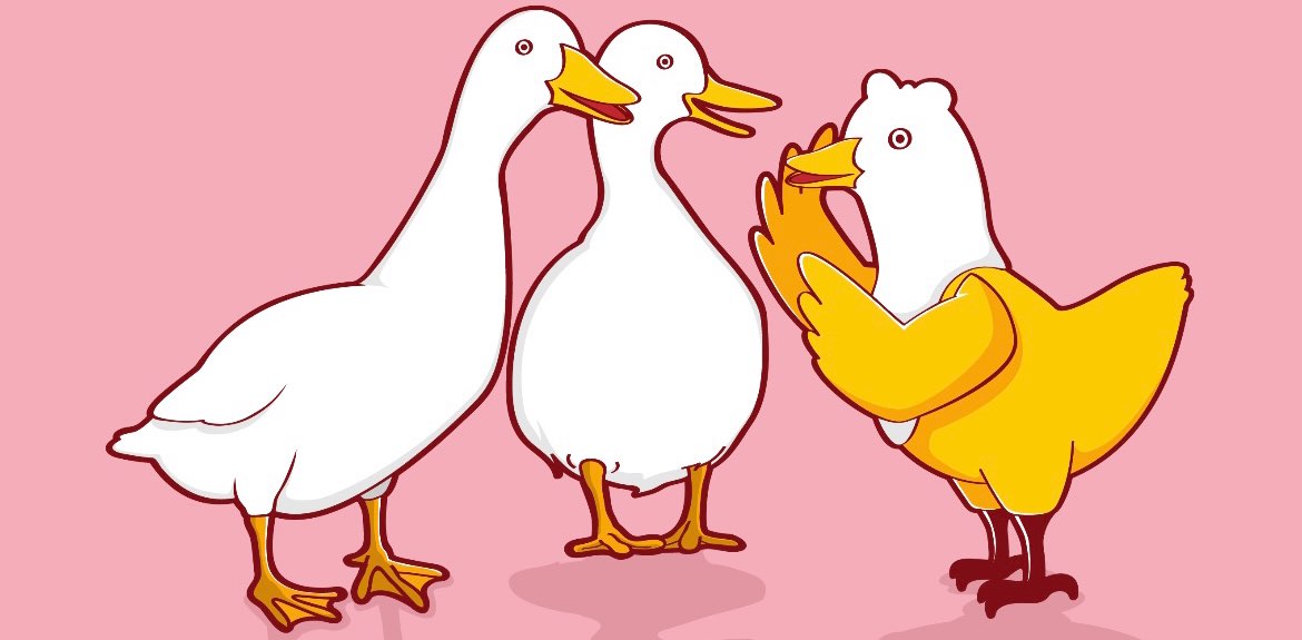 鴨鴨團🦆 banner
