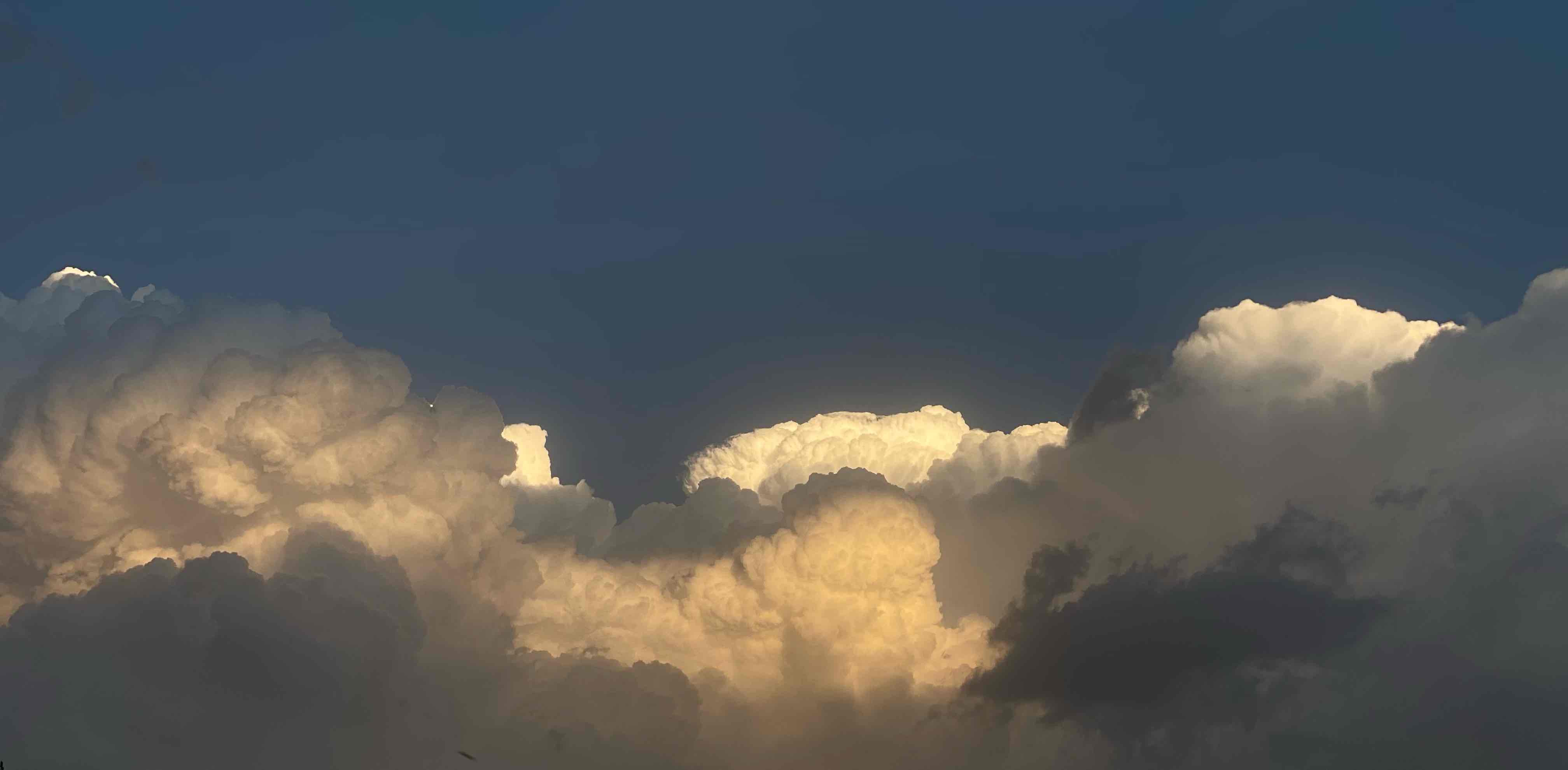 Gentle Walking banner