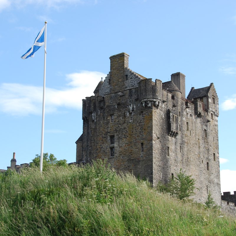 💙Alfio’s Friends💙 logo