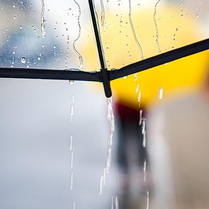 RAINY DAY WALKS logo