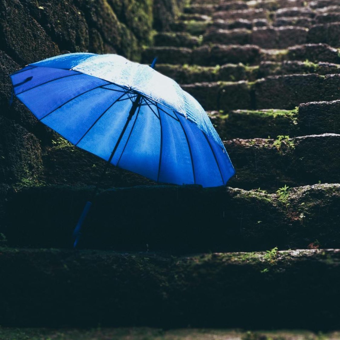 RAINY DAY WALKS logo