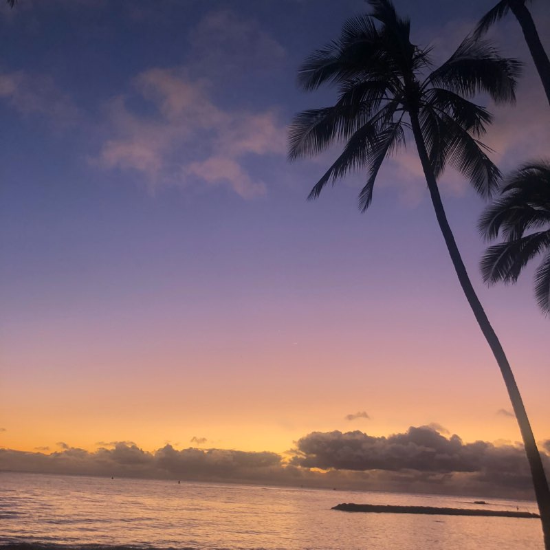 Hot Girls Walk During Holidays logo