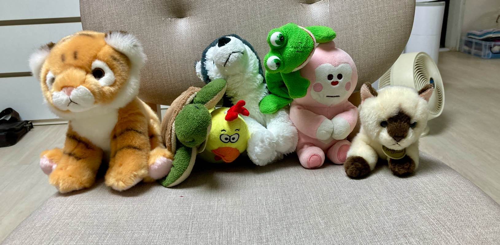 ํผ๋์ด๋ค ๊ฑท๊ธฐ ๊ทธ๋ฃน banner