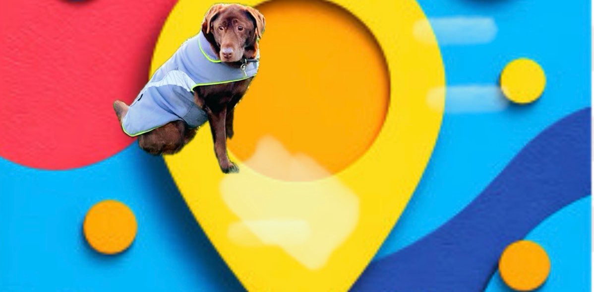 R’s (Coco)🐾🐾 banner