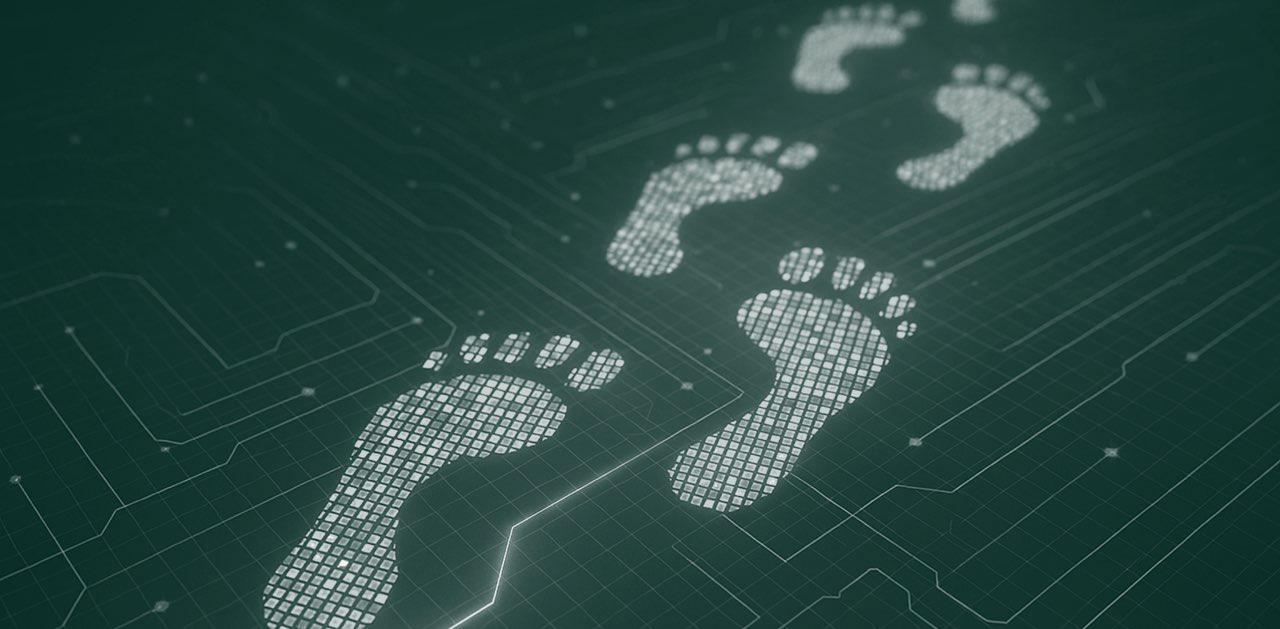 OFSE Digital Footprints banner