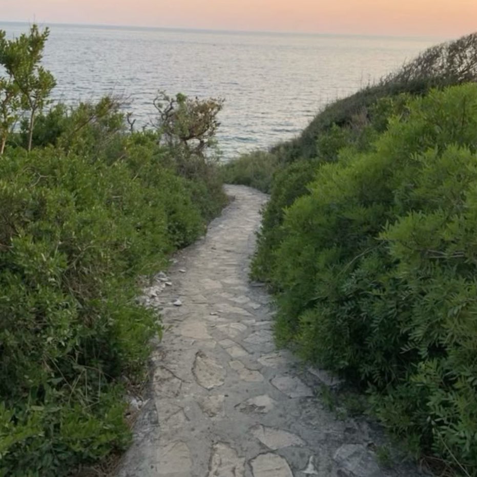 Grounds for Good Health logo