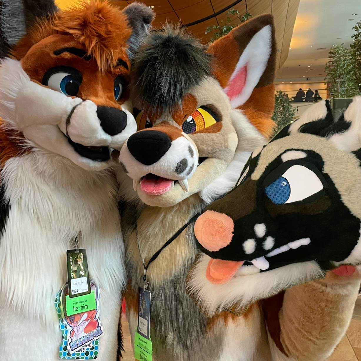 Akita Jackal Fox Dot Com logo