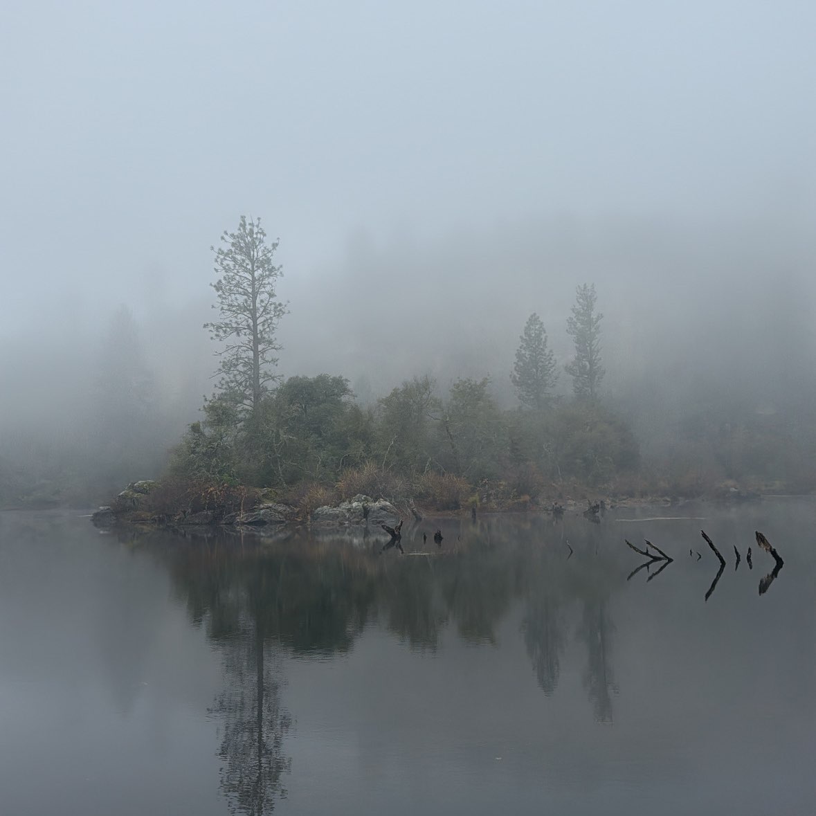 Anti AI Walk Club logo