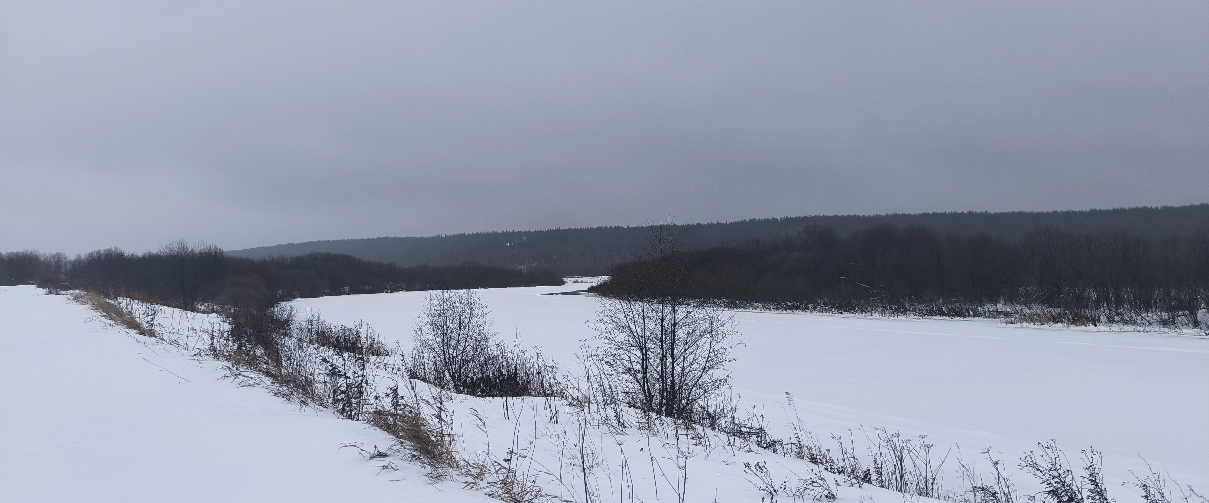 Тело мечты banner