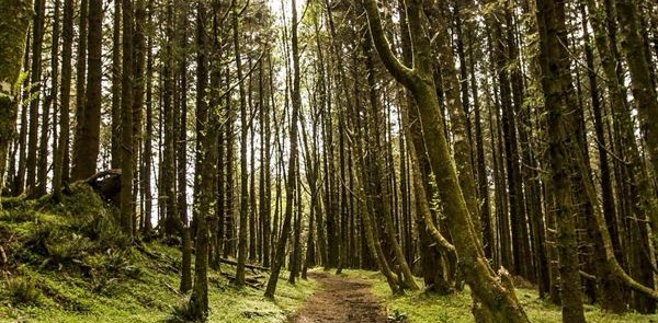 Septembra mammas 2025 banner