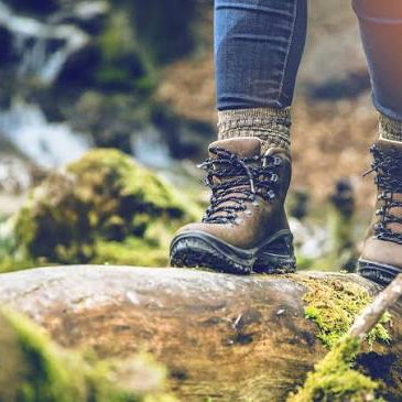 Stappenchallenge VredPolLeu logo