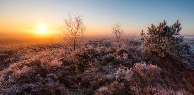 Stappenchallenge VredPolLeu banner