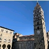 Pistoiesi logo