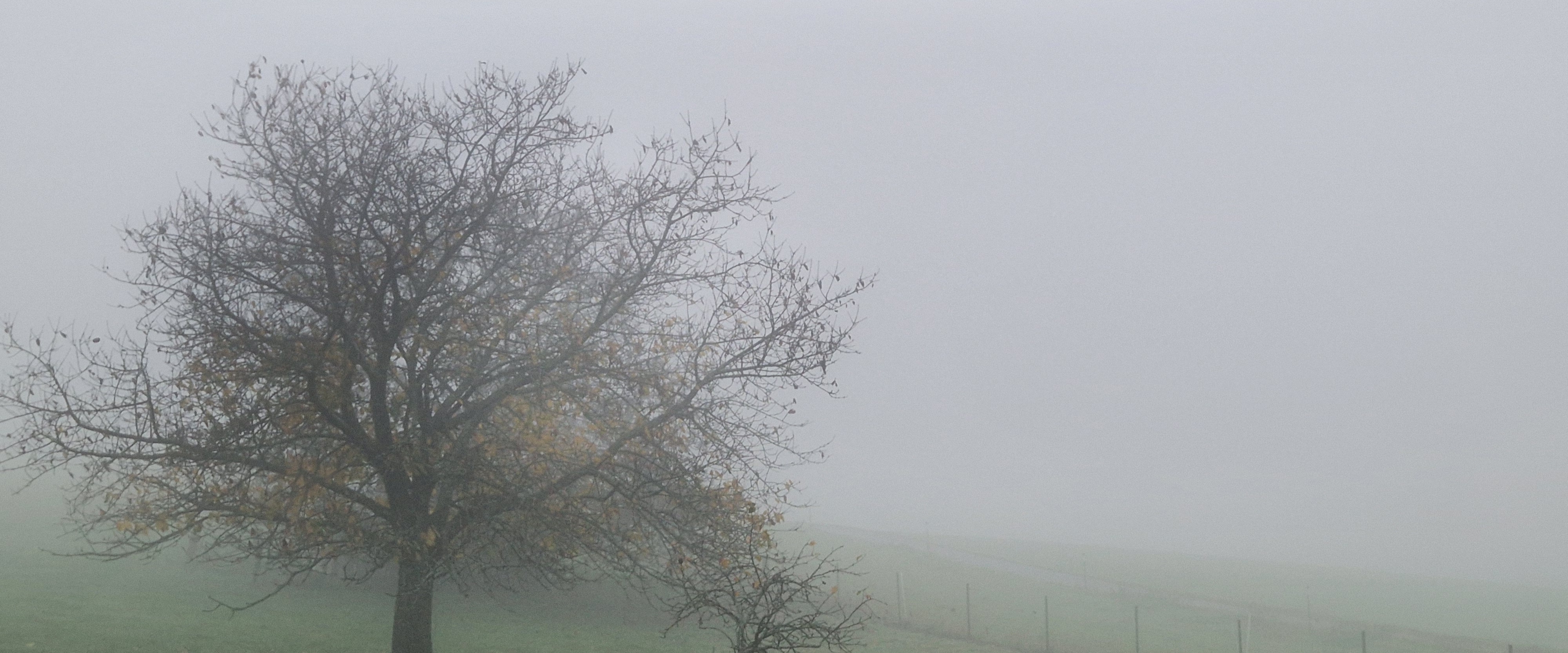 Breitscheid Aktiv banner