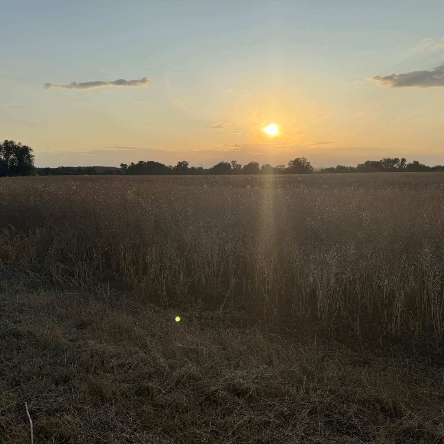 Salzatal Move & Run logo