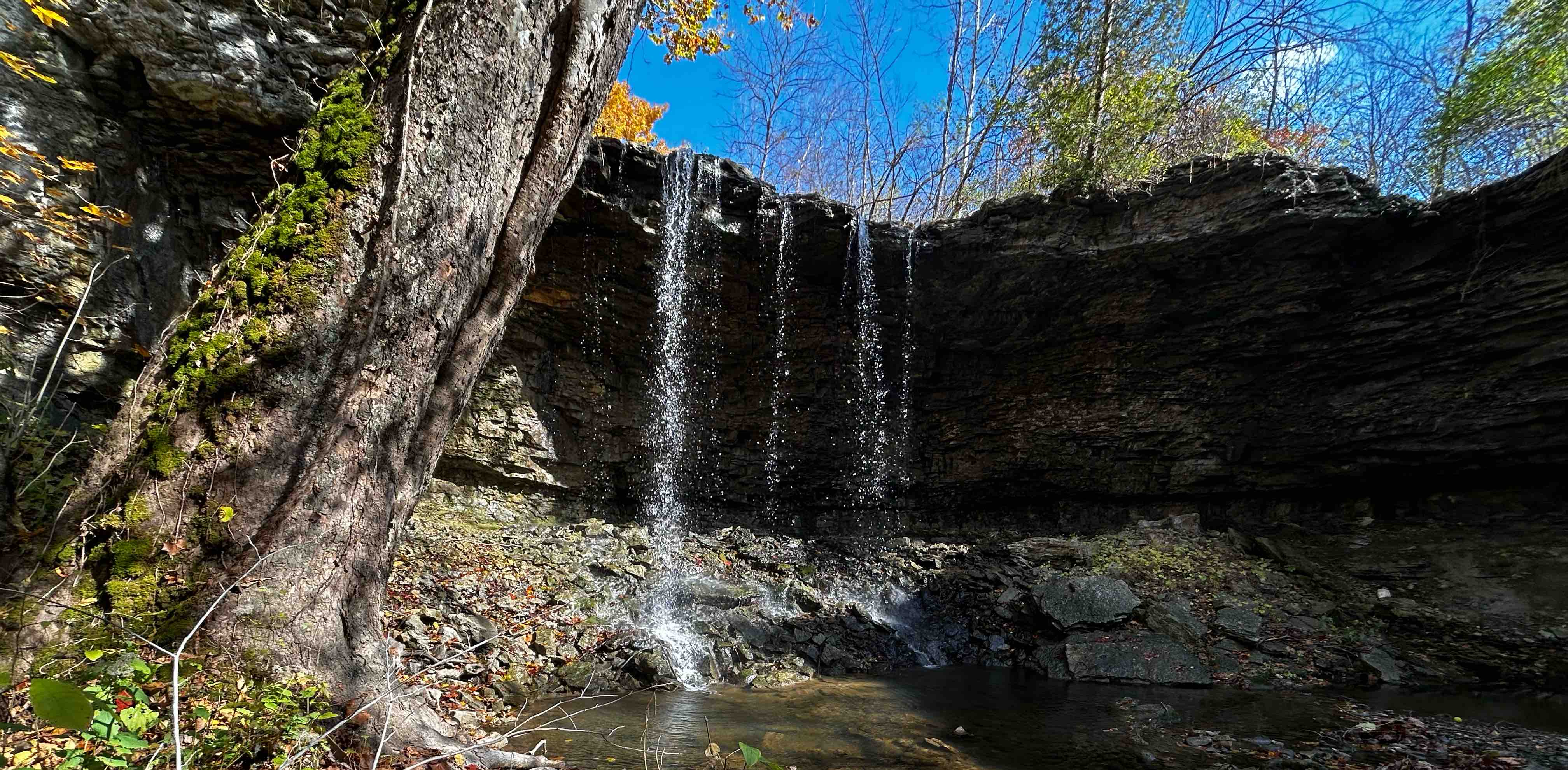 Salt Life and Fitness 🏃🏻♀️ banner