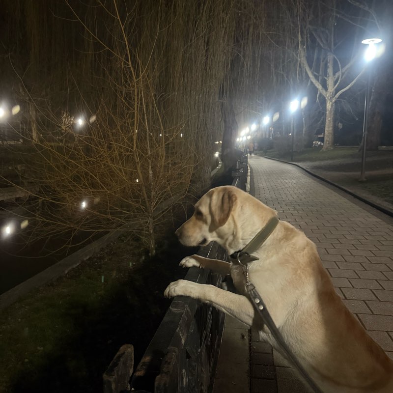 Активные симферопольцы logo