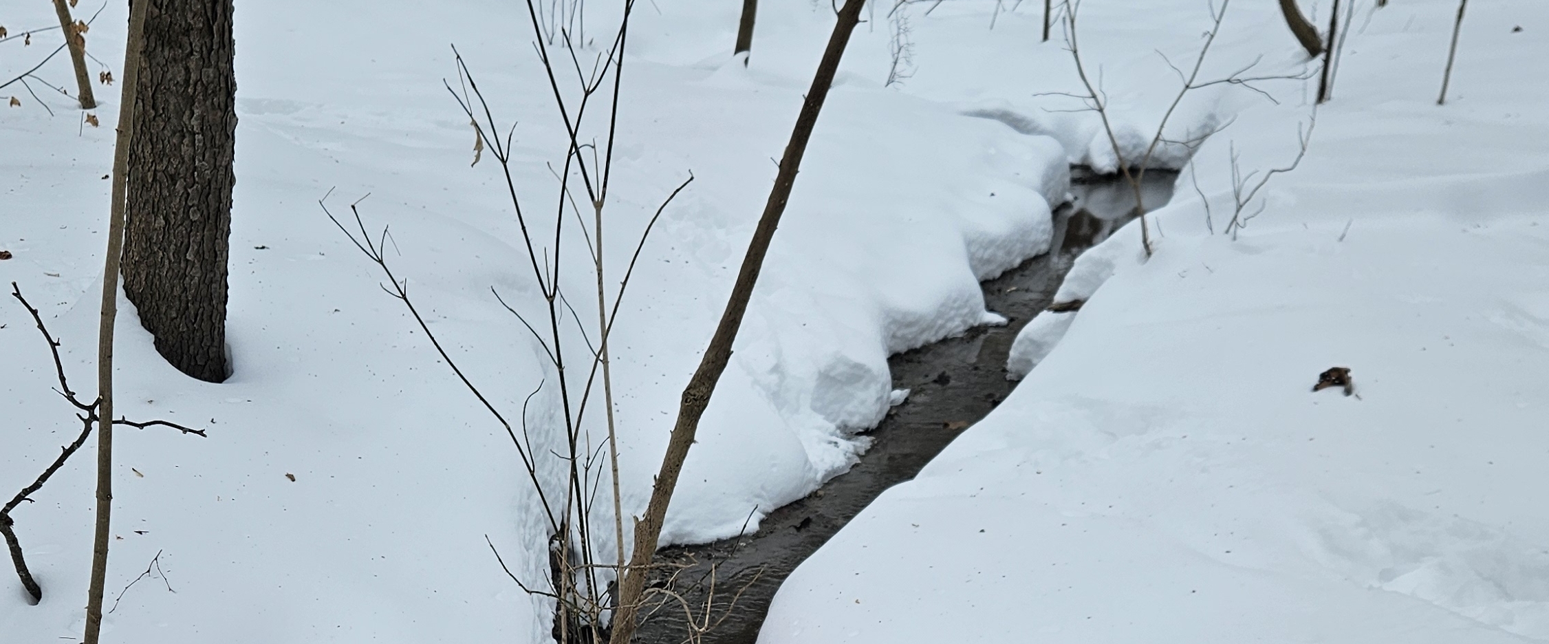 ❤️FUN STEPS❤️ banner