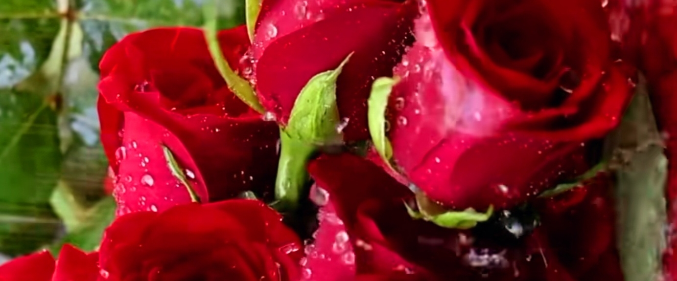 CC - Adventskalender-Challenge banner