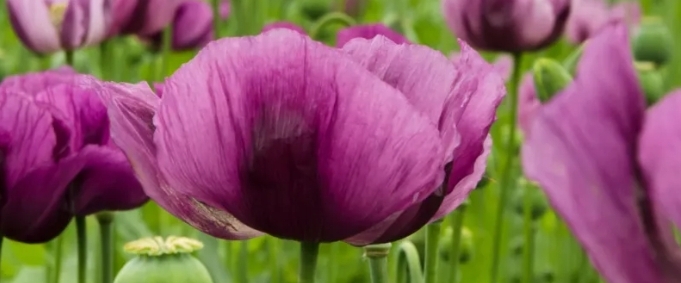 😍LIFE IS BEAUTIFUL😍 banner