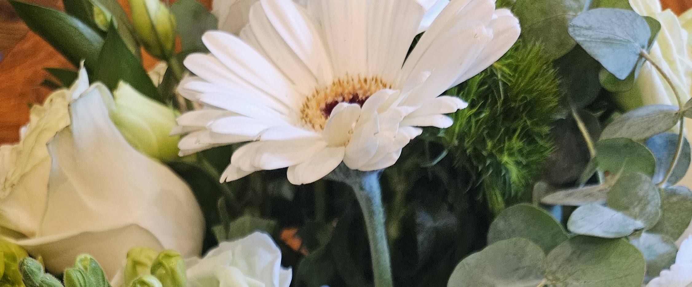 💖FULL STEPS💖 banner