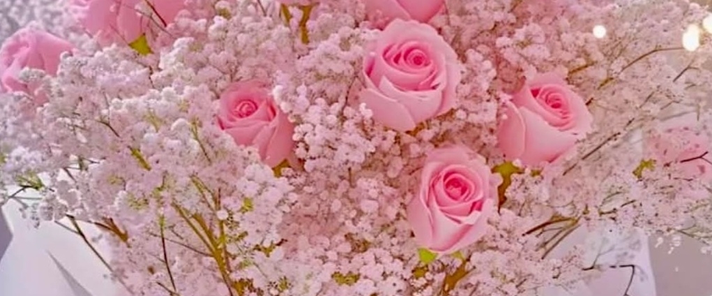 💕SHORT WALKS💕 banner