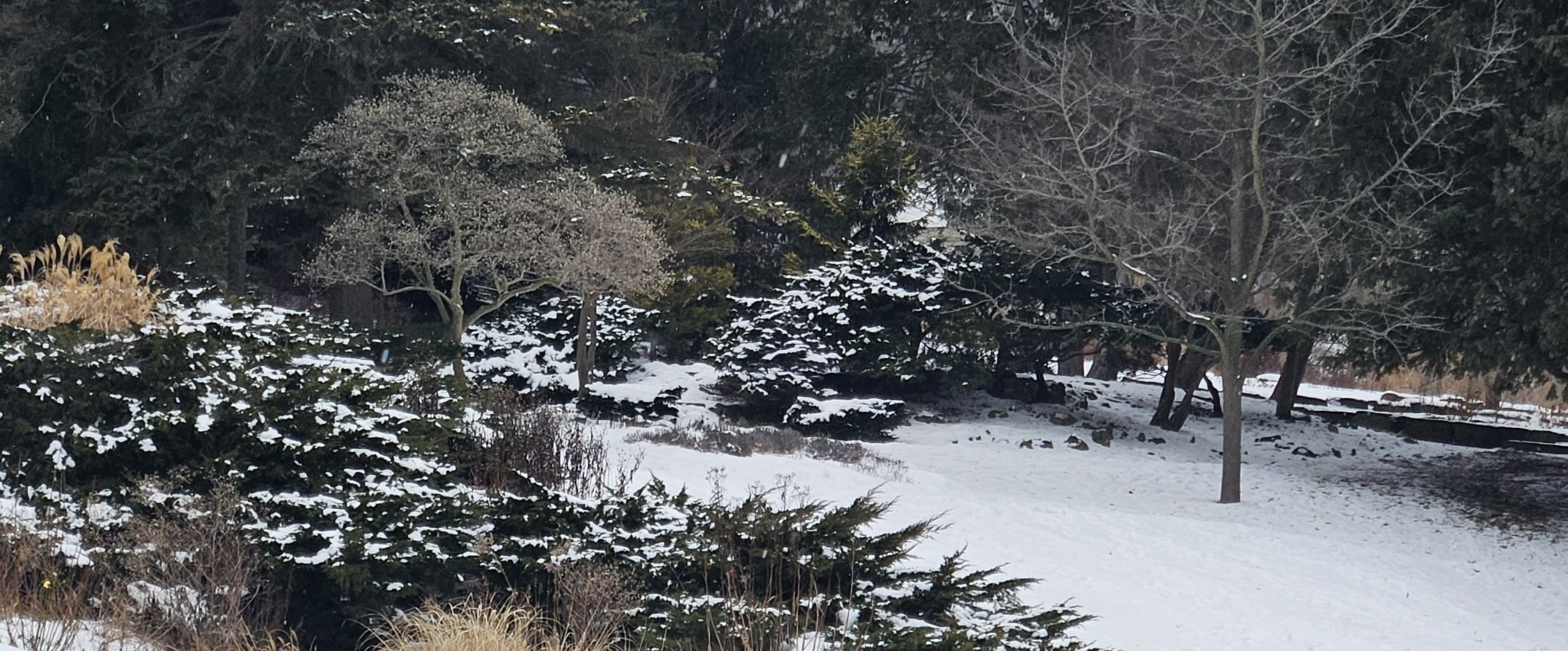 EMARATI CHRKANOOR banner