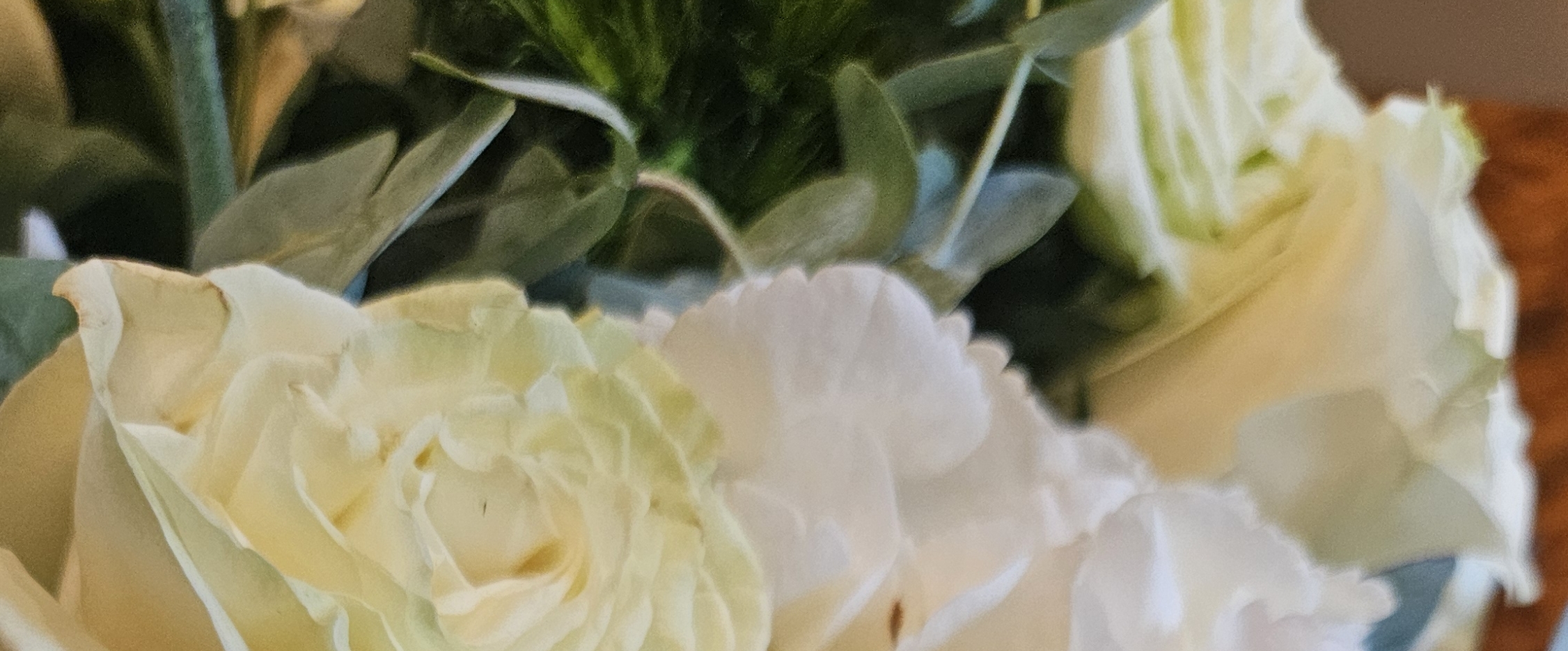 🌿LIFESTYLES🌿 banner