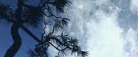 KOGAS 대전충청 건강돌봄(걷기) banner