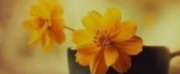 Cuxhaven 🚶♀️🚴♂️ banner