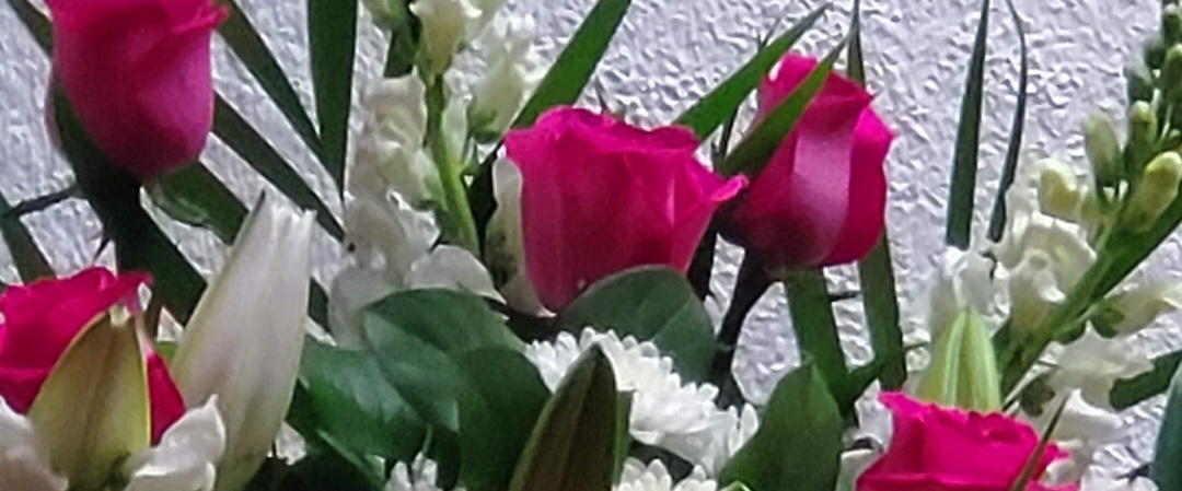 😇HAPPY WALKS 😇 banner