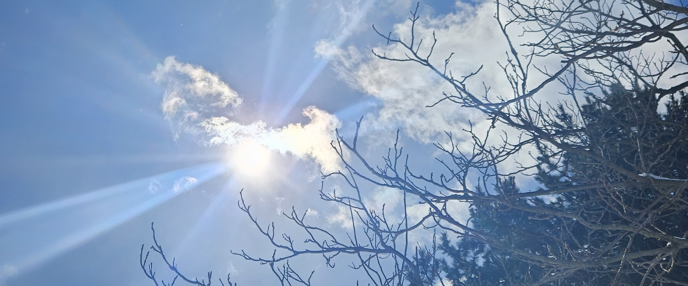 ❤️HEALTHY MINDS😍 banner