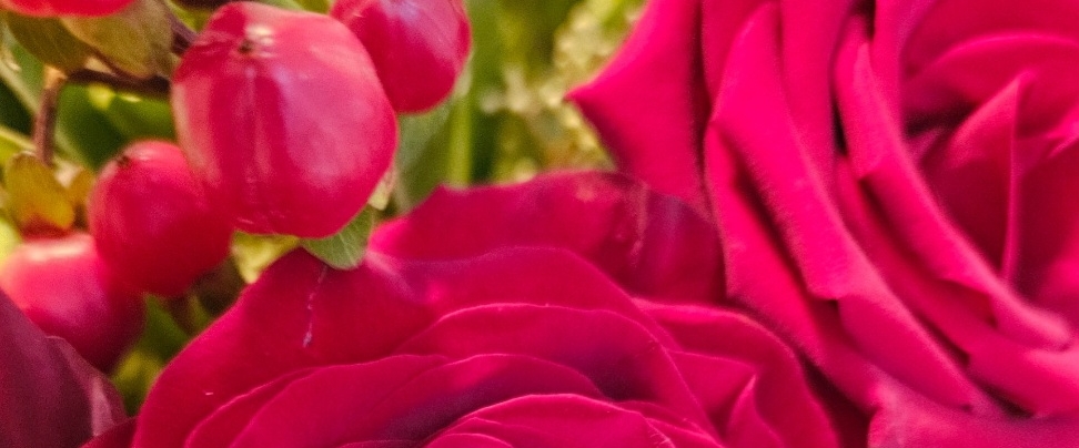 ♥️LoveSPORT♥️ banner