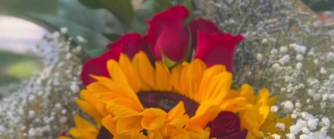 🎉LET'S GO 🎉 banner