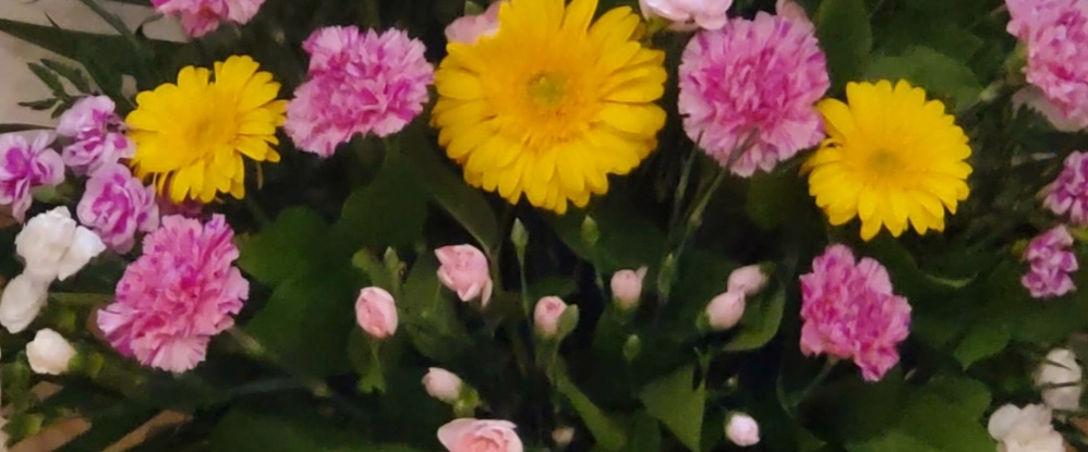 ALIET ECE Fitness freaks banner