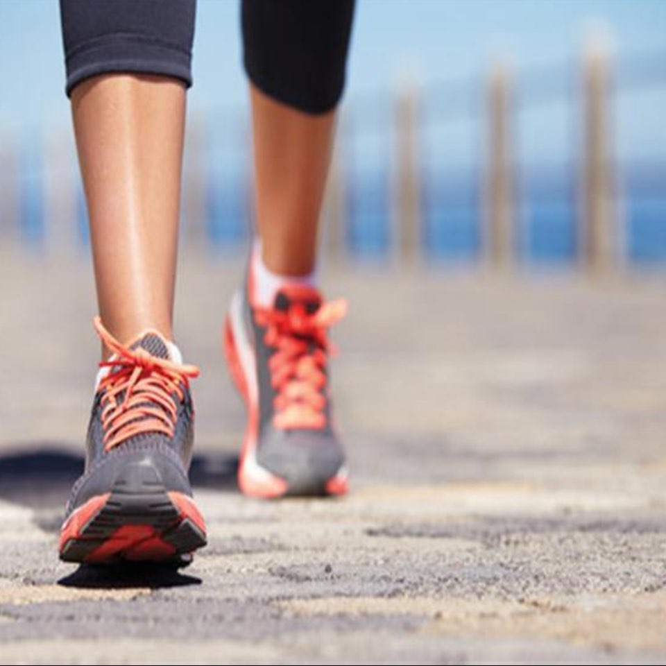 نمشي بإخلاص logo