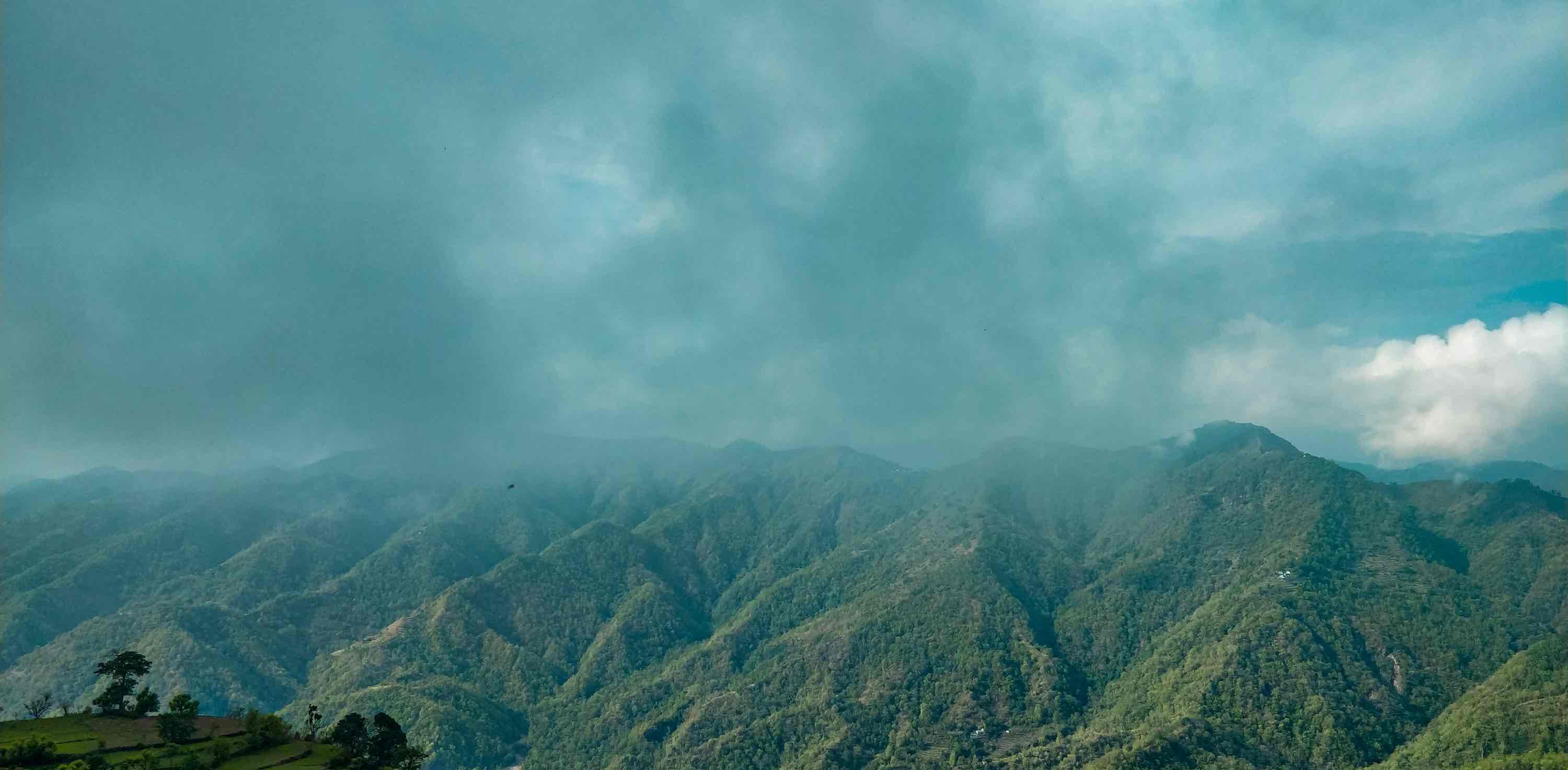 Adrenaline Rushers banner