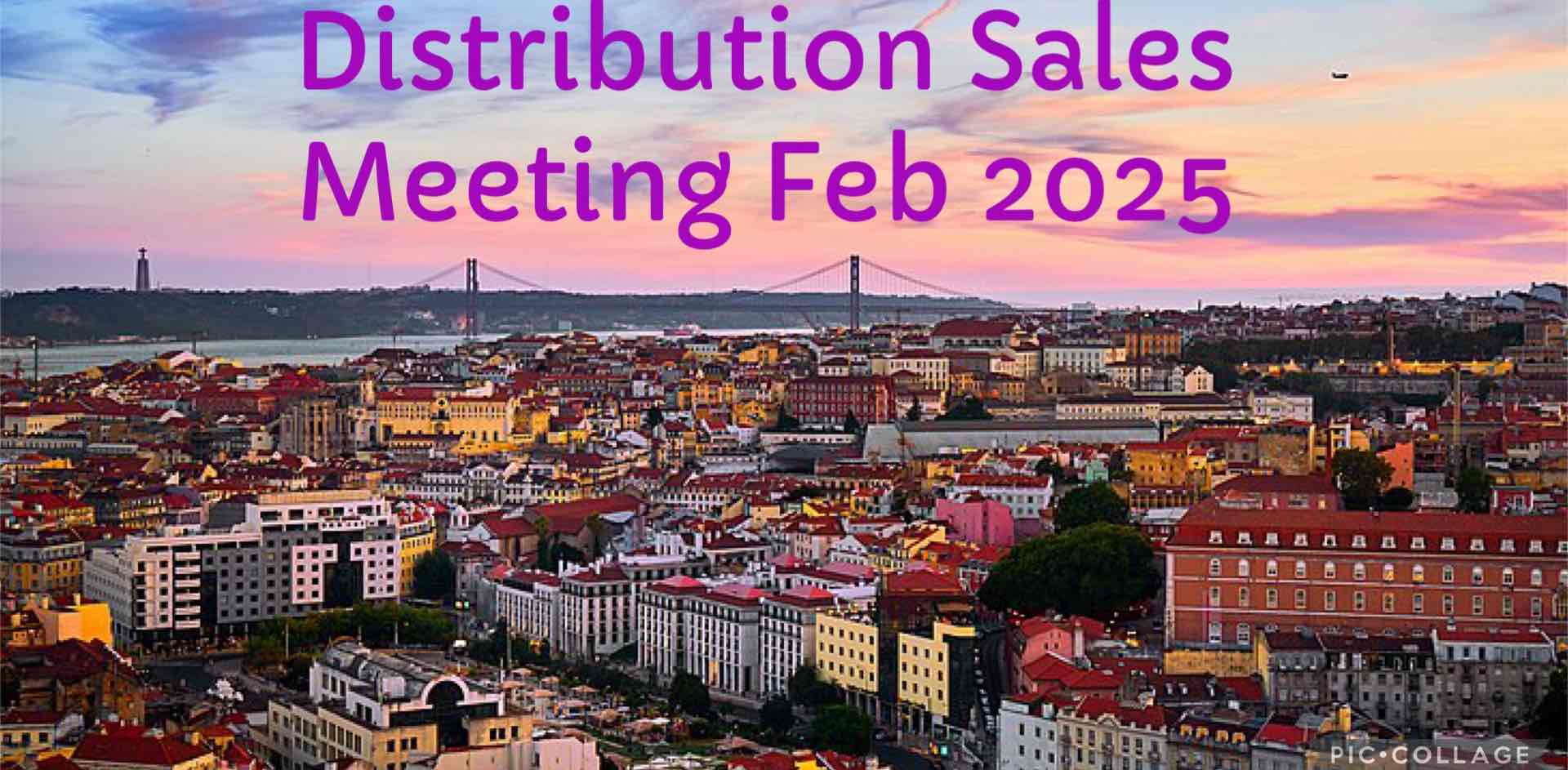 Partners In Success banner