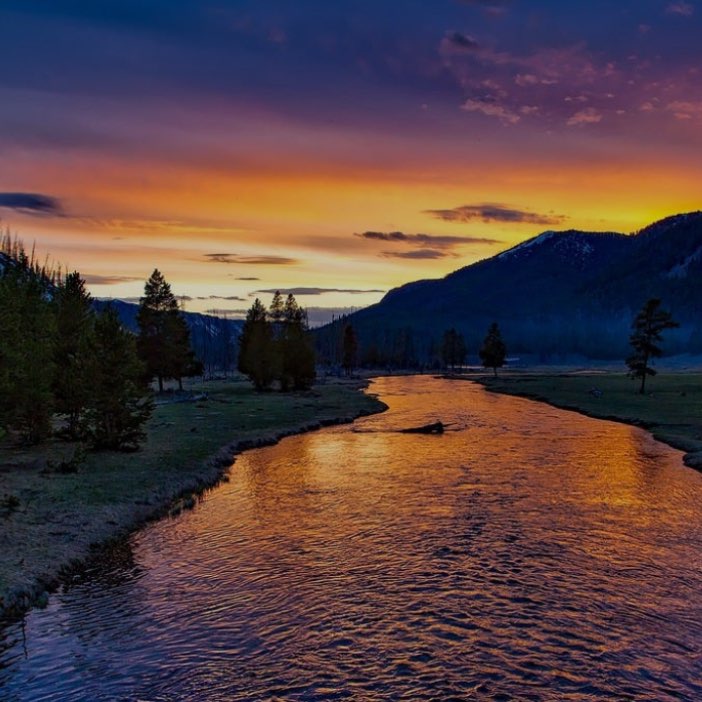 World Of Walkers logo