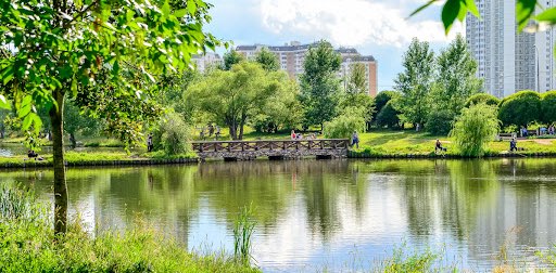 Бегуны🏃♀️➡️🏃♂️➡️🏆 banner