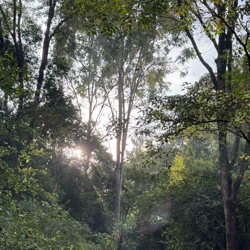 vintage baddies 🤭 logo