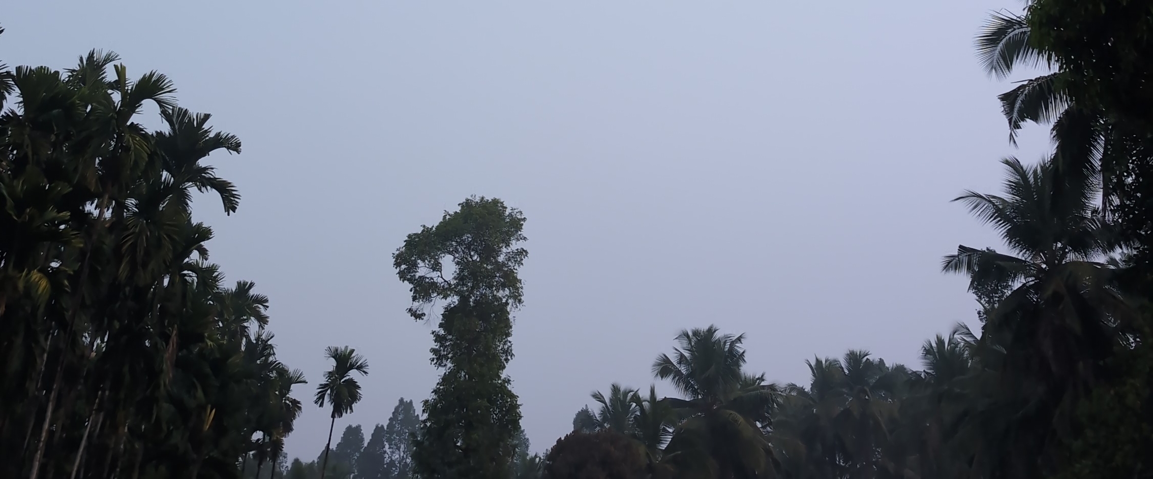 sullia friends banner