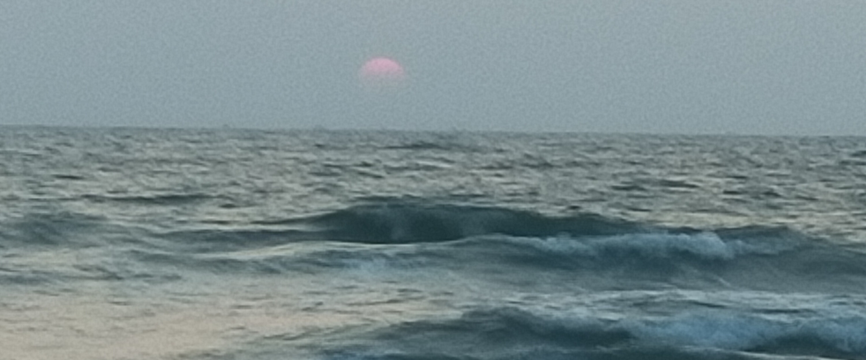 Friends Forever banner