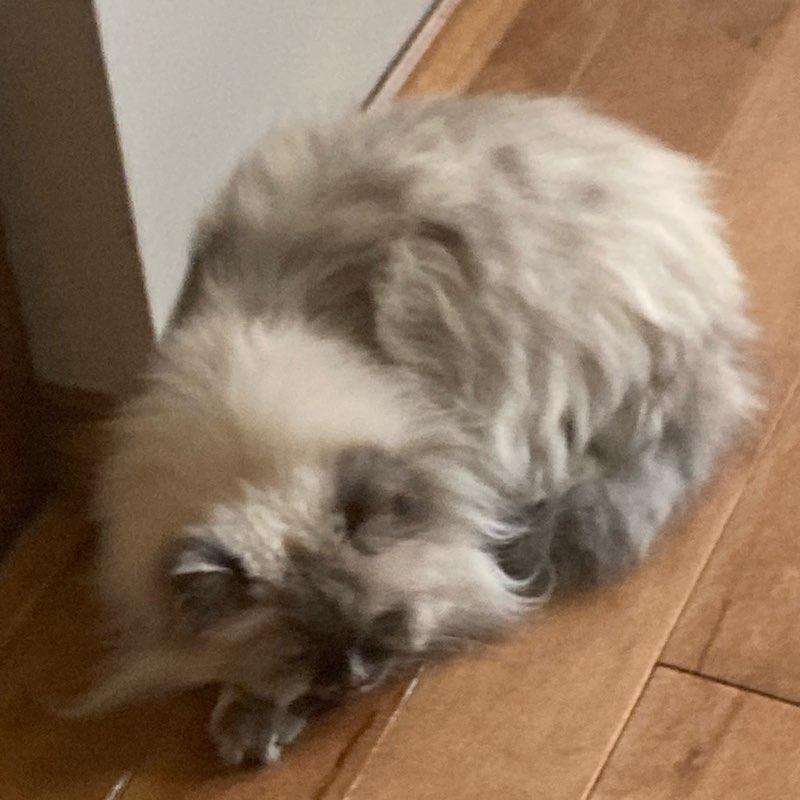 Peace ✌️ runners logo